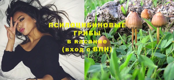 эйфоретик Алзамай