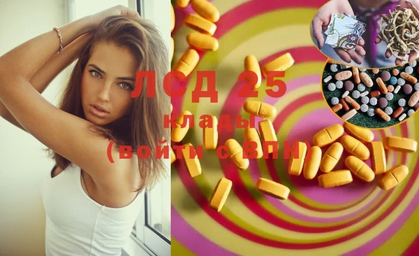 эйфоретик Алзамай