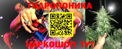 спайс Гатчина