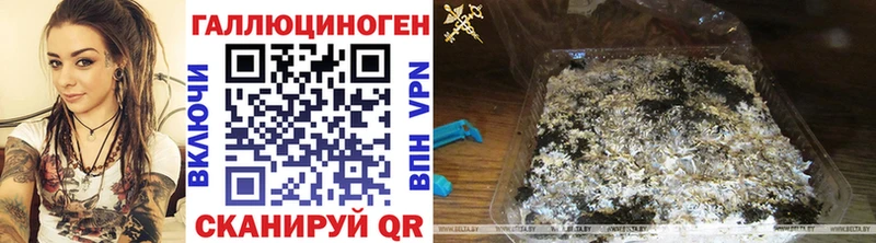 darknet официальный сайт  Коркино  Галлюциногенные грибы мицелий  KRAKEN онион 