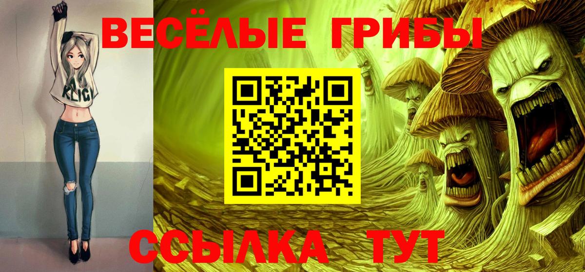 Галлюциногенные грибы GOLDEN TEACHER  купить  цена  Коркино  Вход с VPN 
